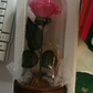 Enchanted Forever Rose Flower In Glass LED Light Christmas Decoration