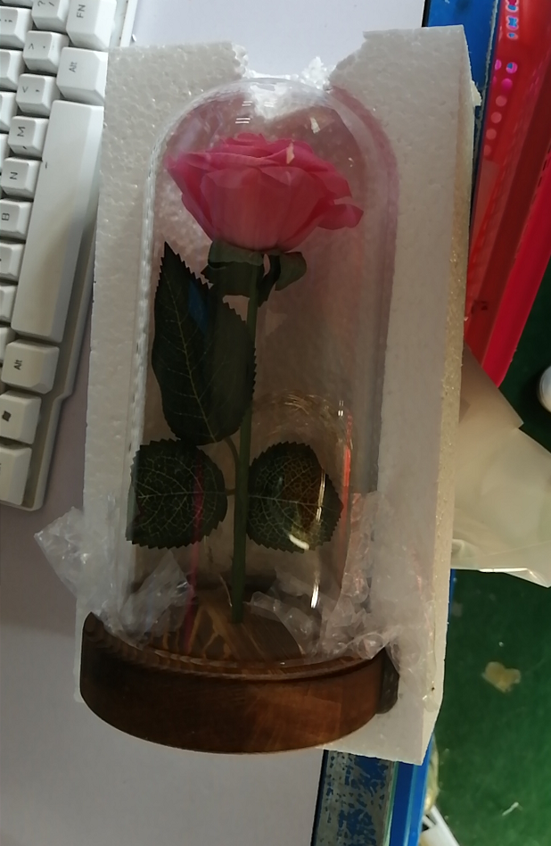 Enchanted Forever Rose Flower In Glass LED Light Christmas Decoration