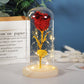 Enchanted Forever Rose Flower In Glass LED Light Christmas Decoration