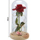 Enchanted Forever Rose Flower In Glass LED Light Christmas Decoration